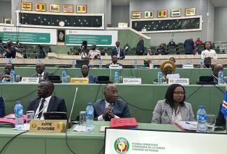 ECOWAS meets in February to discuss the decision by Mali, Burkina Faso and Niger to leave the community.