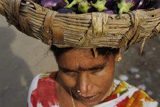 Bäuerin bringt im indischen Bundesstaat Odisha Auberginen zum Markt.