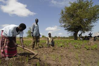 Landwirtschaftliche Schulung in Uganda: Kleinbauern, vor allem Frauen, brauchen mehr Unterstützung.