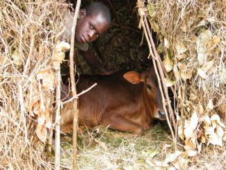 Around 800 million people still live in extreme poverty. This Rwandan cowherd is one of them.