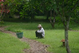 Altersarmut: Manche Senioren verdienen sich mit Gartenarbeit etwas hinzu
