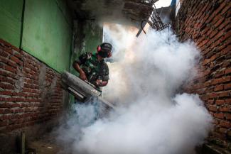 Pesticides should only be used sparingly, but application can make sense where the dengue risk is evident: government-sponsored fogging in Aceh Province in February.