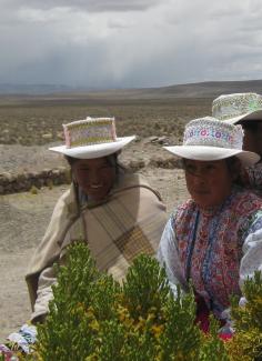 Today, indignous women in the Andes are no longer at risk of forced sterilisation.