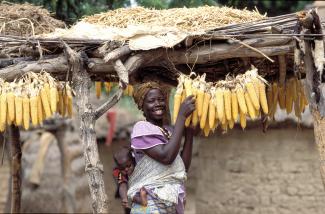 Mais ist ein Grundnahrungsmittel in Afrika – wegen des Treibhauseffekts werden die Anbauflächen aber voraussichtlich zurückgehen: Landfrau in Burkina Faso.