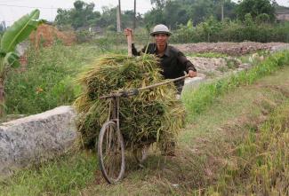 Fast alle vietnamesischen Dörfer haben Strom, aber die Versorgung ist nicht zuverlässig.