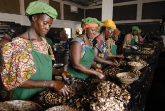 Africa must process more goods: workers sorting cashew nuts in Burkina Faso.