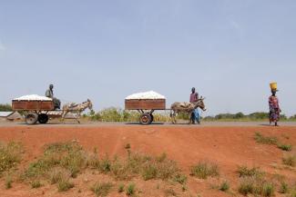 Mali könnte ohne Transportmöglichkeiten im Land keine Baumwolle exportieren.