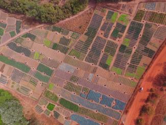 Anhand des mit einer Vermessungsdrohne aufgenommenen Bildes kann die KfW ein Bewässerungsvorhaben in der malischen Region Sikasso bewerten. Die Farben lassen die unterschiedlichen Feldfrüchte erkennen: Kohl ist blau, Salat hellgrün, Zwiebeln dunkelgrün.