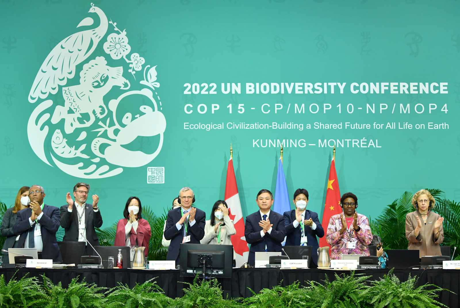 picture-alliance/Xinhua News Agency/Lian Yi In the end, the delegates of COP15 succeeded in adopting the Kunming-Montreal Global Biodiversity Framework.