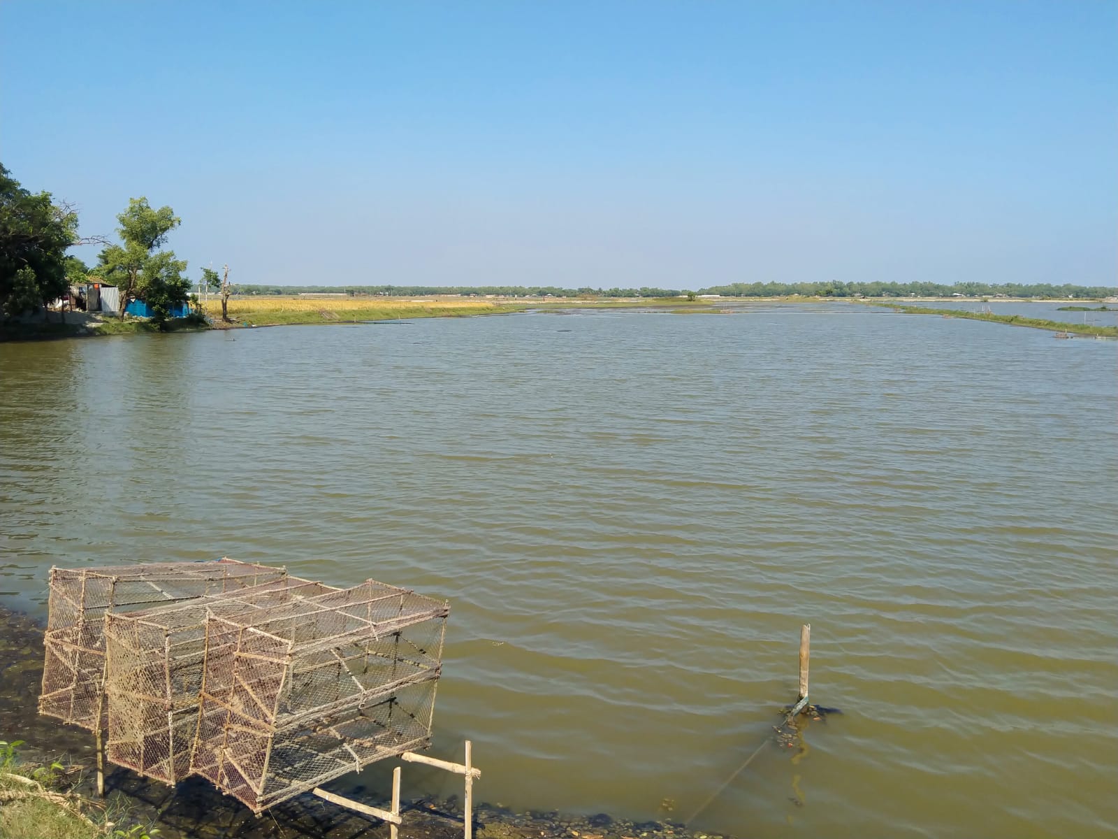 Käfige für Zuchtfische. 