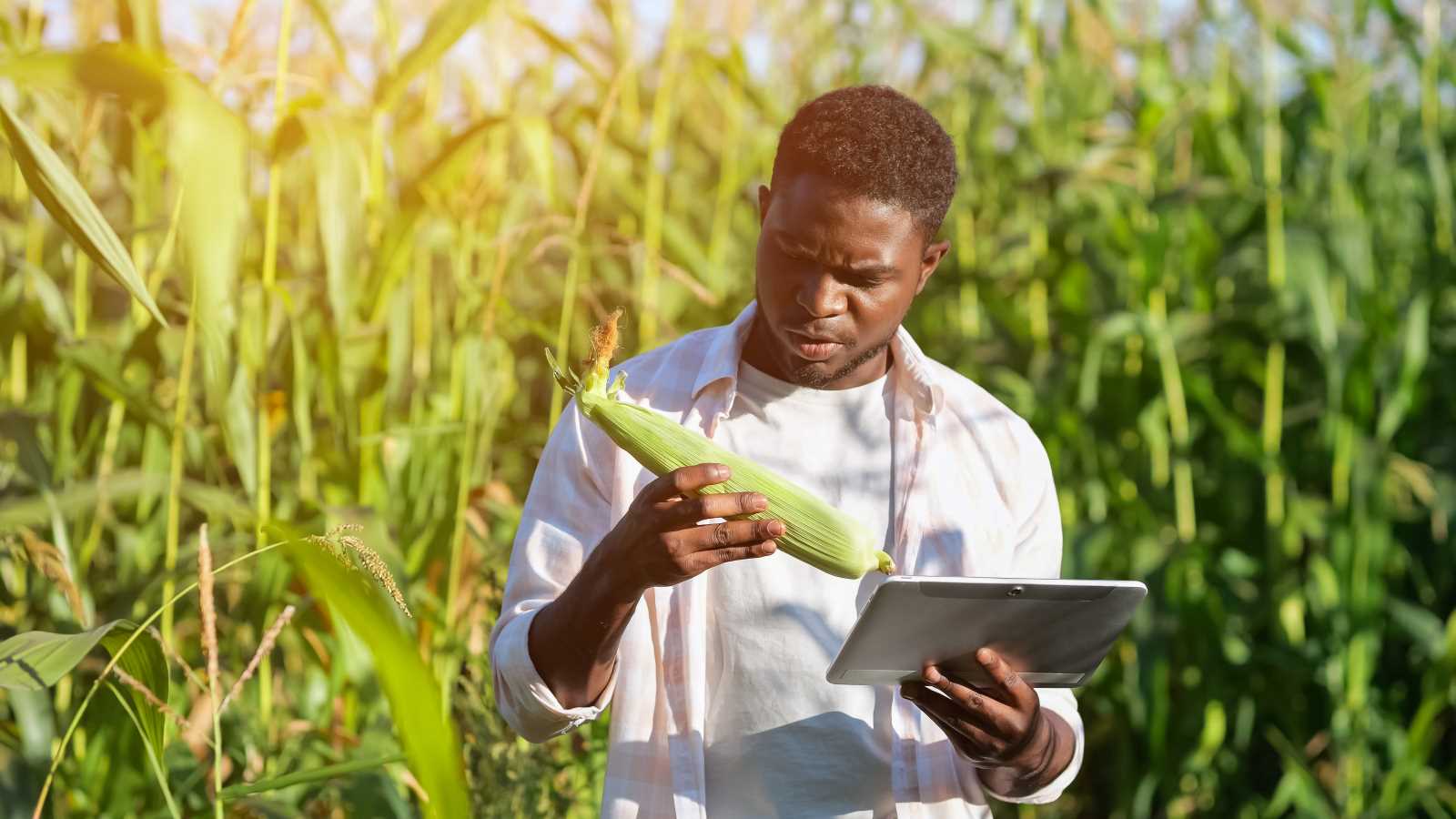 African research matters very much. 