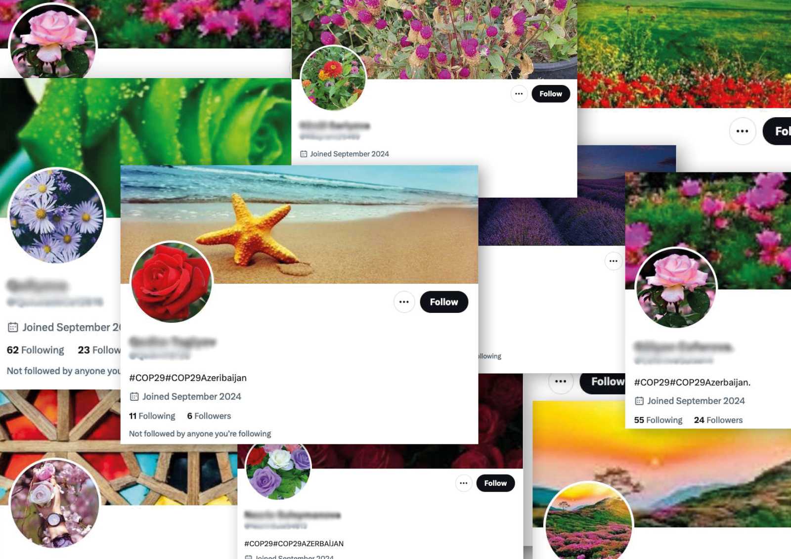 Verdächtige X-Konten, die im Umfeld der Weltklimakonferenz in Baku 2024 aktiv wurden.