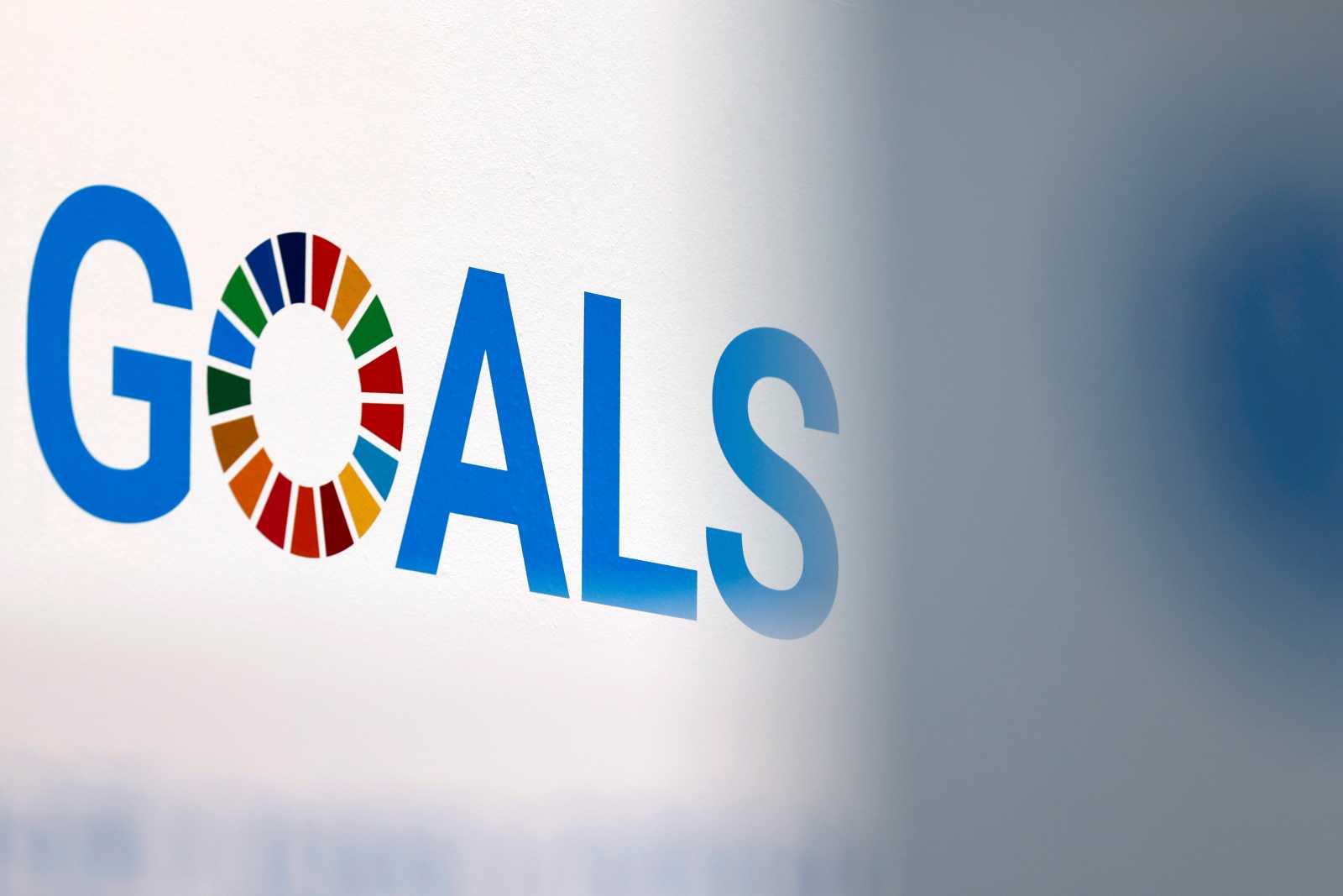 The logo of the 17 UN Sustainable Development Goals: In Germany, sustainability is often used to refer to ecological issues.