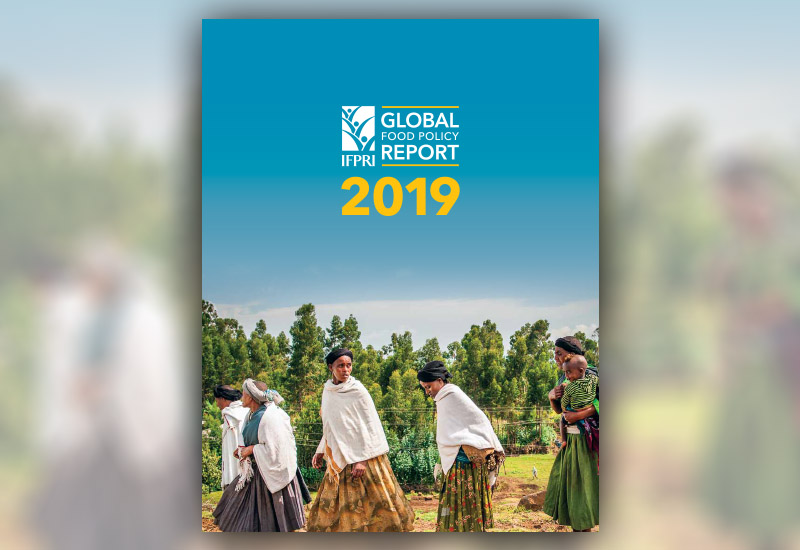International Food Policy Research Institute: 2019 Global food policy report.