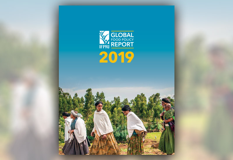 http://ebrary.ifpri.org/utils/getfile/collection/p15738coll2/id/133129/filename/133348.pdf International Food Policy Research Institute: 2019 Global food policy report.