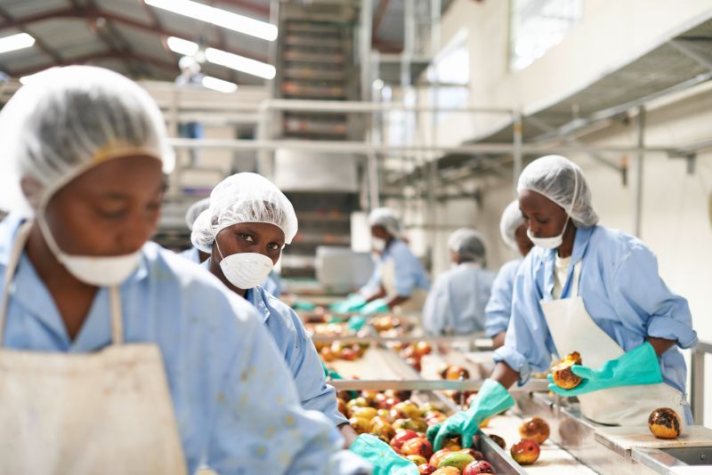 Arbeiterinnen einer DEG-finanzierten kenianischen Firma, die Fruchtsaft herstellt.