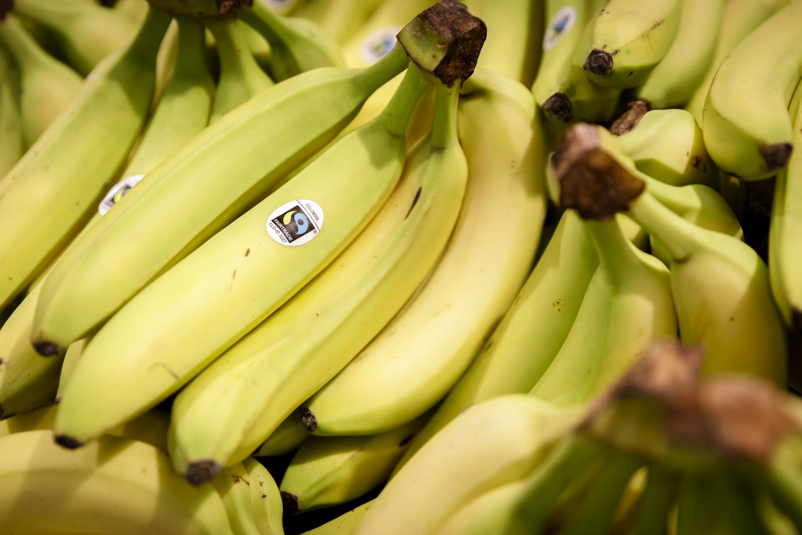 Fair- trade bananas on offer in German supermarket.