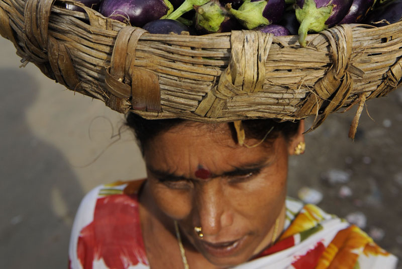Farm woman taking egg plants to a market in the Indian state of Odisha.