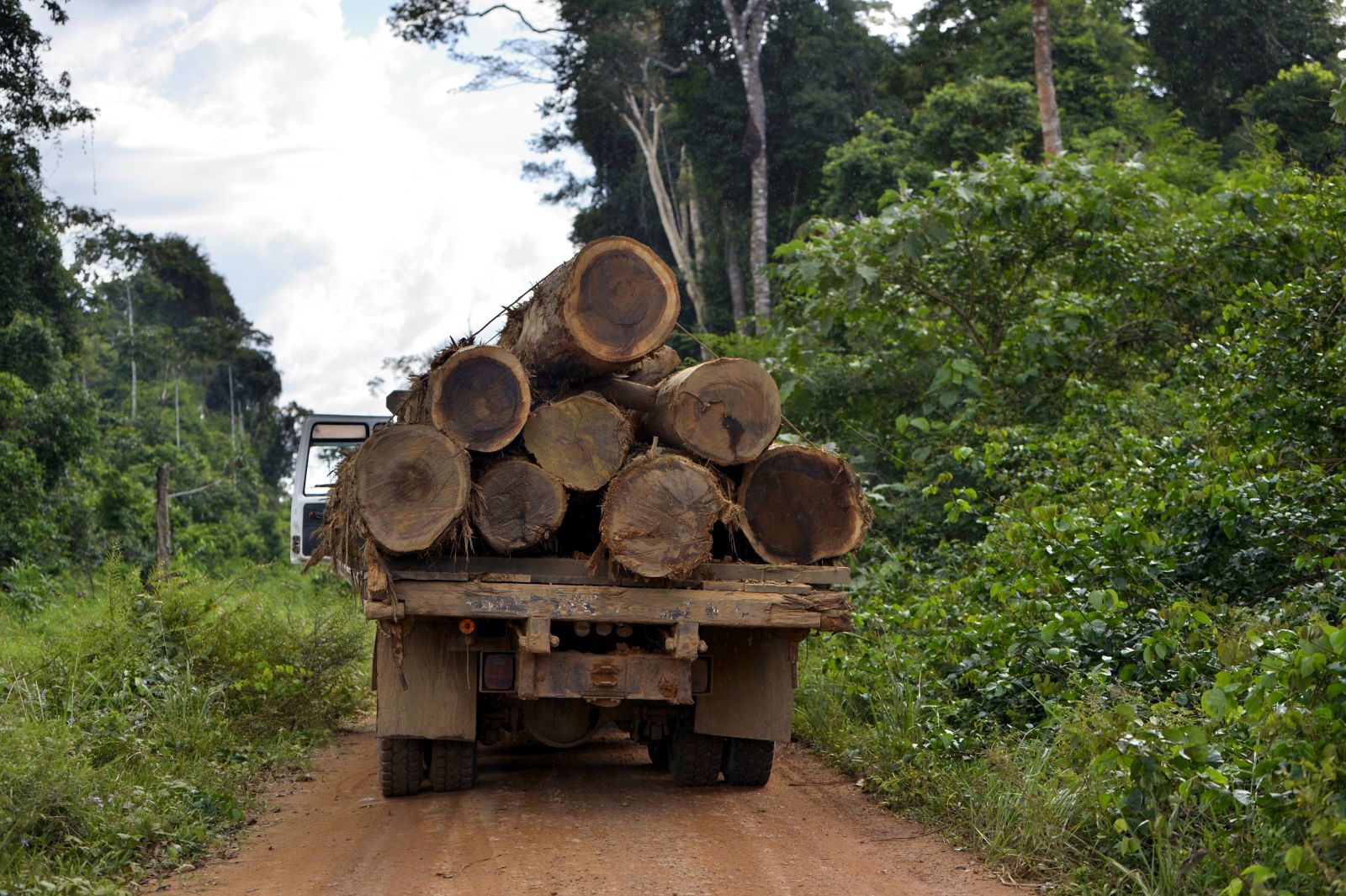 The destruction of the Brazilian rainforest is advancing.