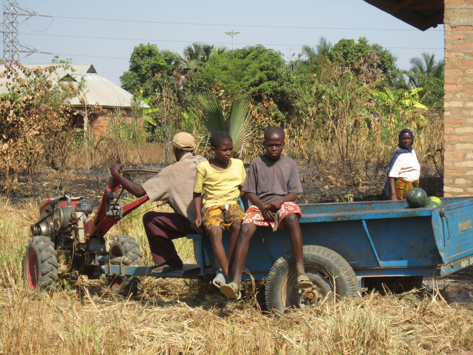 Westliche Messinstrumente erfassen den großen informellen Sektor in Afrika nicht: Wassermelonenanbau in Tansania.