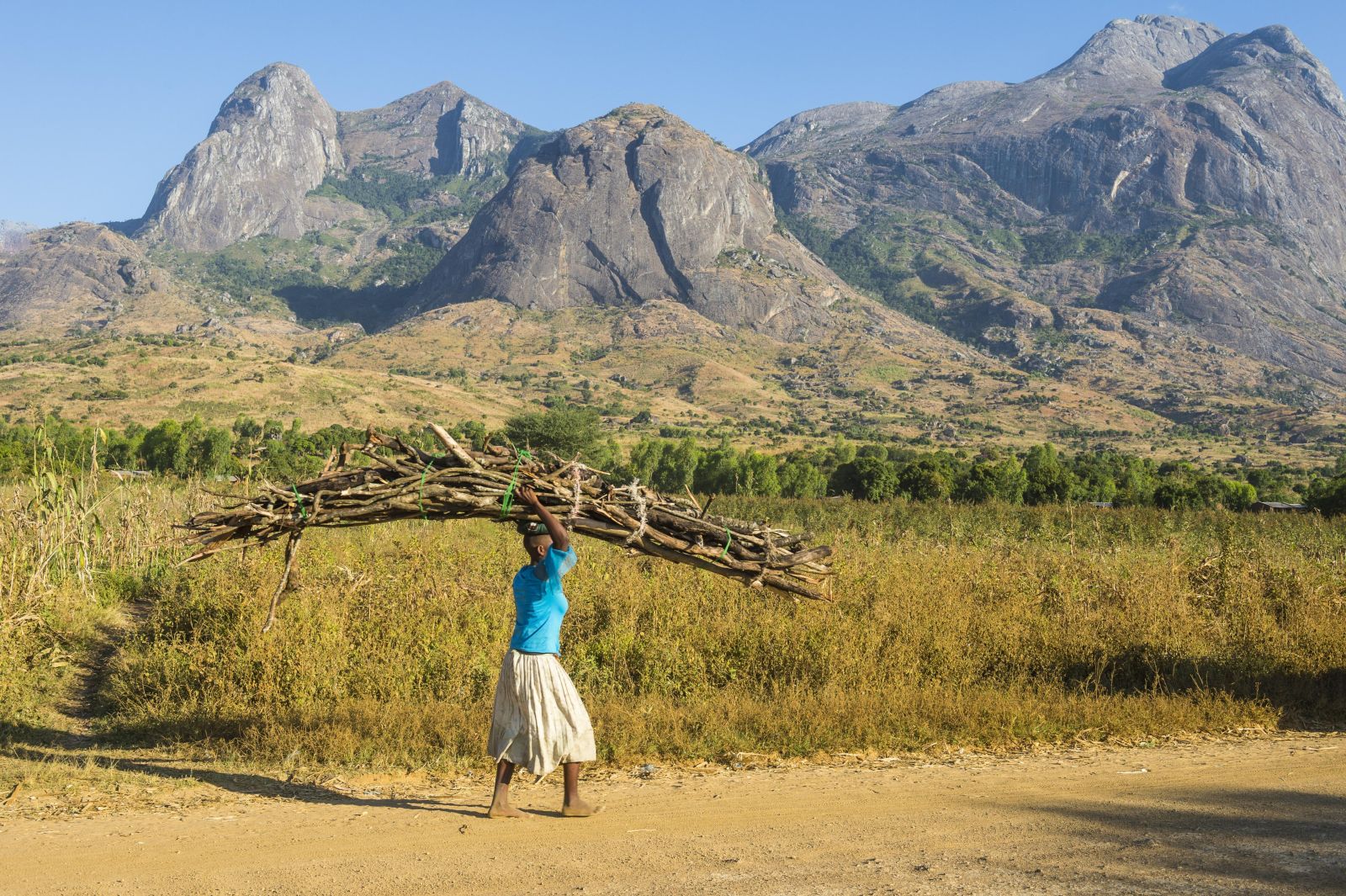 In the global south it is usually the task of women and girls to collect firewood: girl in front of Mount Mulanje in Malawi.