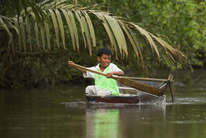 Fischer/Lineair Mangrove forests like these on the Island of Borneo are particularly at risk.