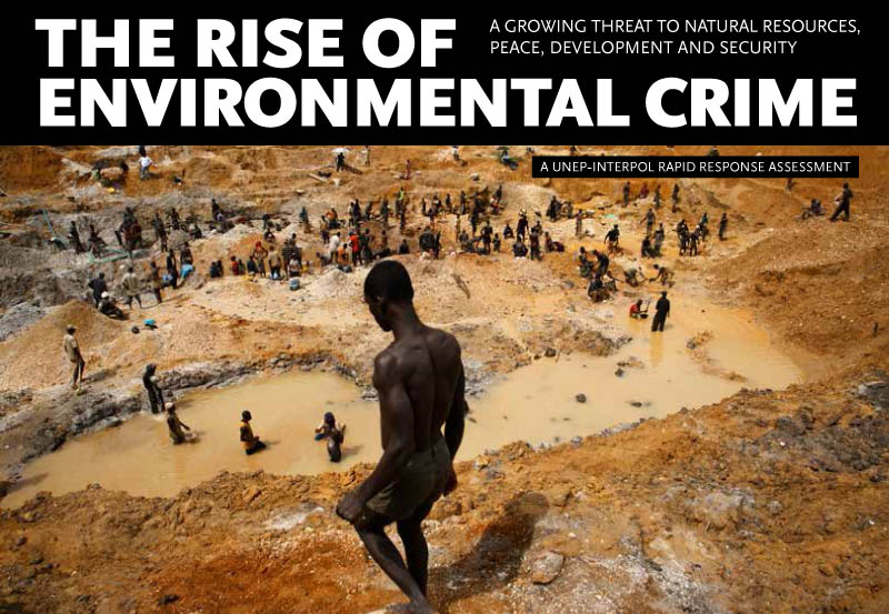 UNEP and Interpol report: The rise of environmental crime.
