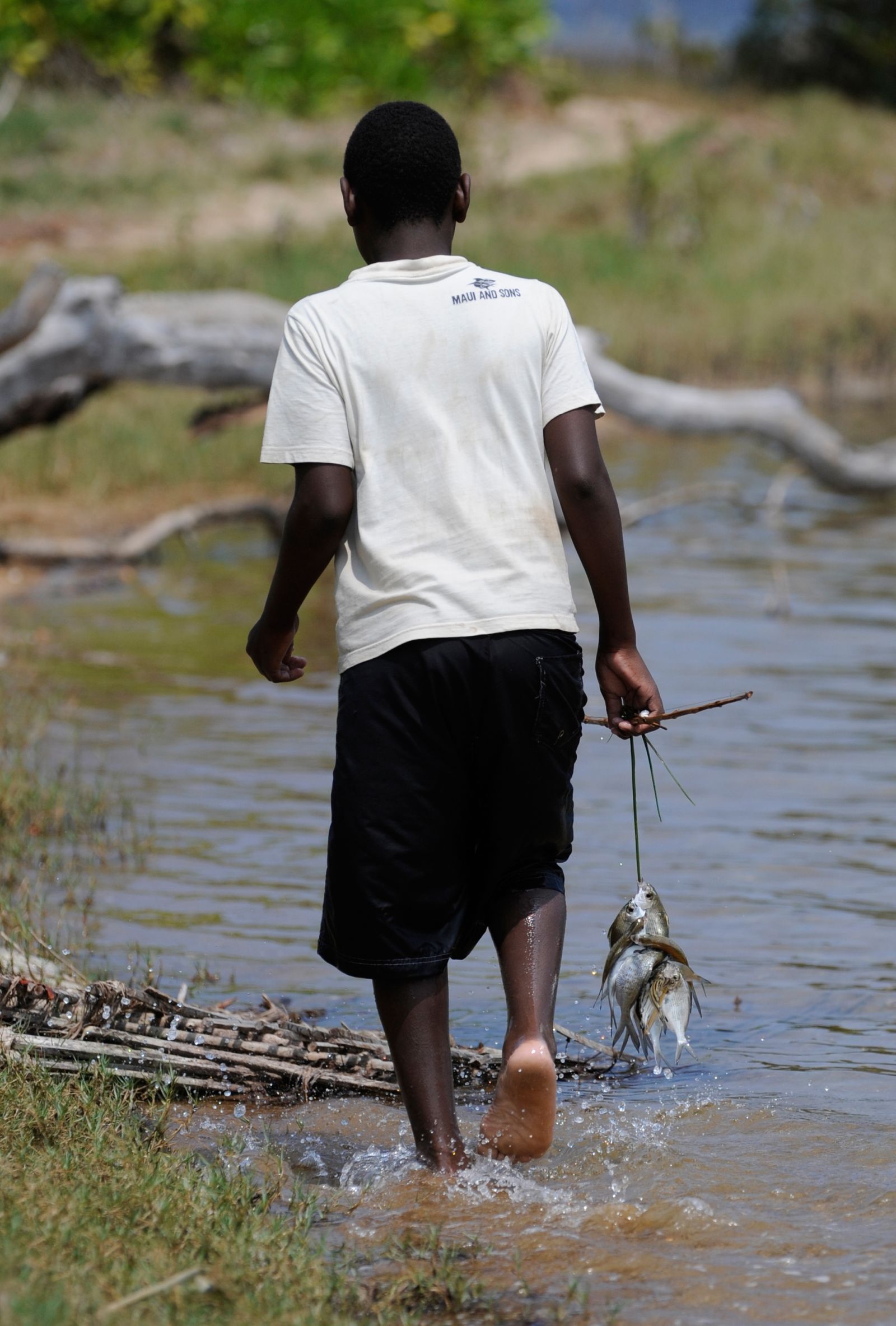 picture-alliance/dpa In Chigozie Obioma’s novel “The Fishermen”, a decision to go fishing has disastrous consequences for Ben and his brothers.