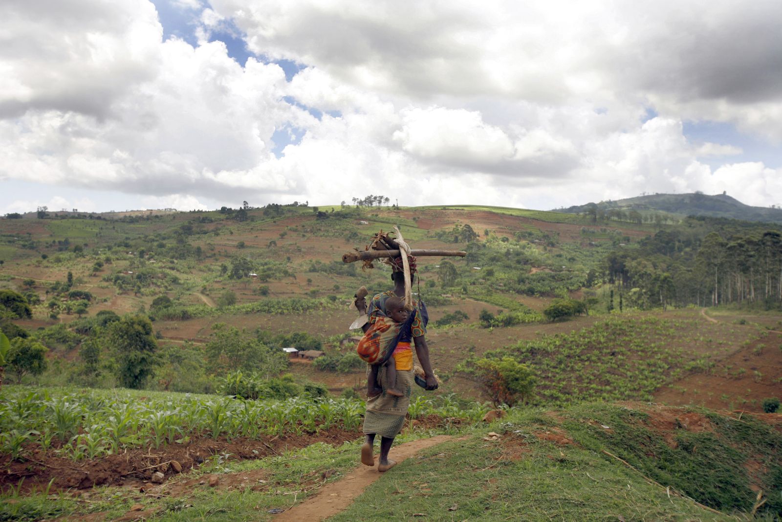 Wie diese Feldarbeiterin leben die meisten Malawier von der Subsistenzlandwirtschaft.