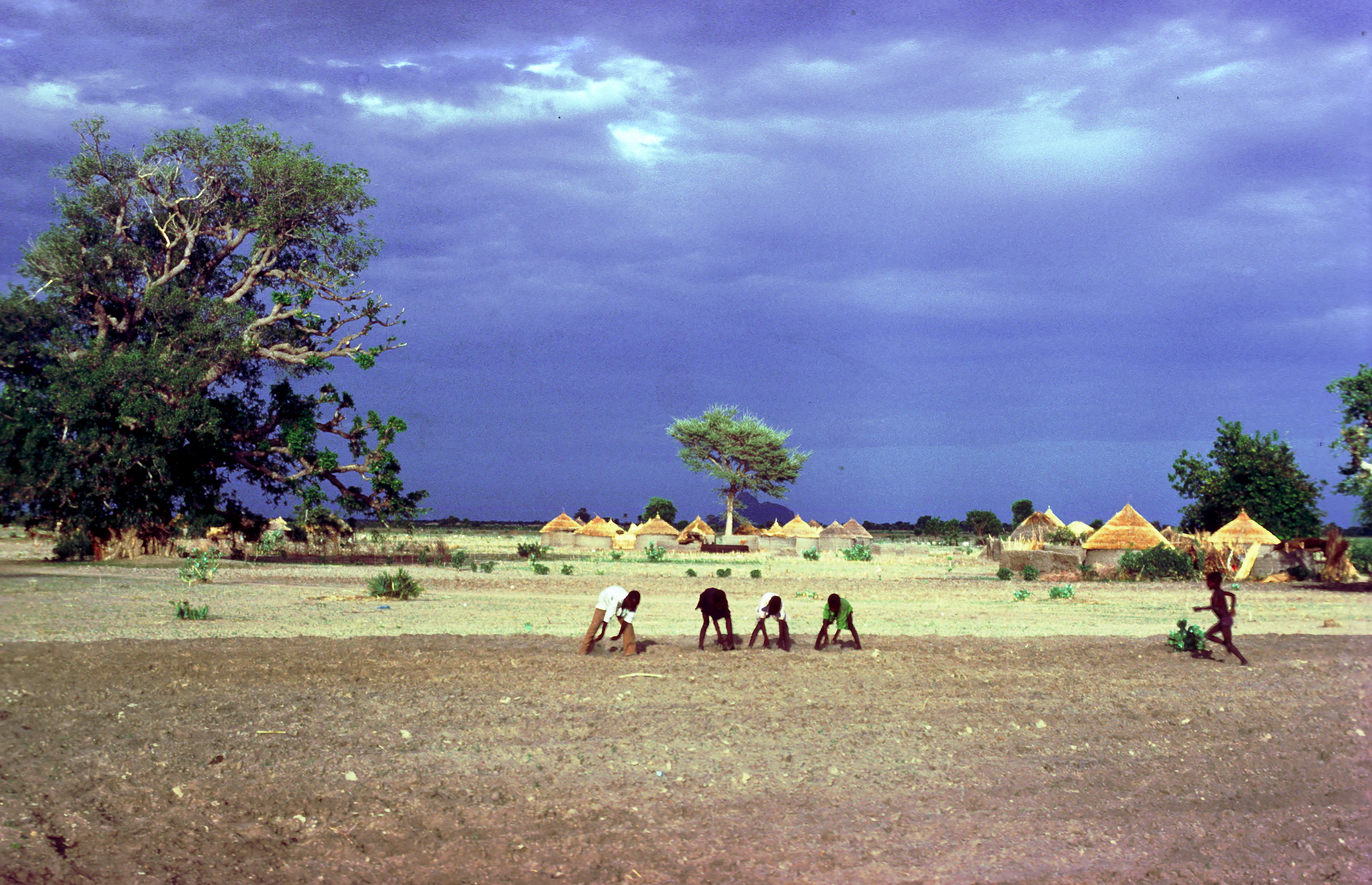 Dick Ross/Lineair „Mehr als 60 Prozent der Landgeschäfte werden in Ländern getätigt, die an Hunger leiden.“ Die Menschen sind auf eigene Landwirtschaft angewiesen: Kleinbauern in Kamerun.