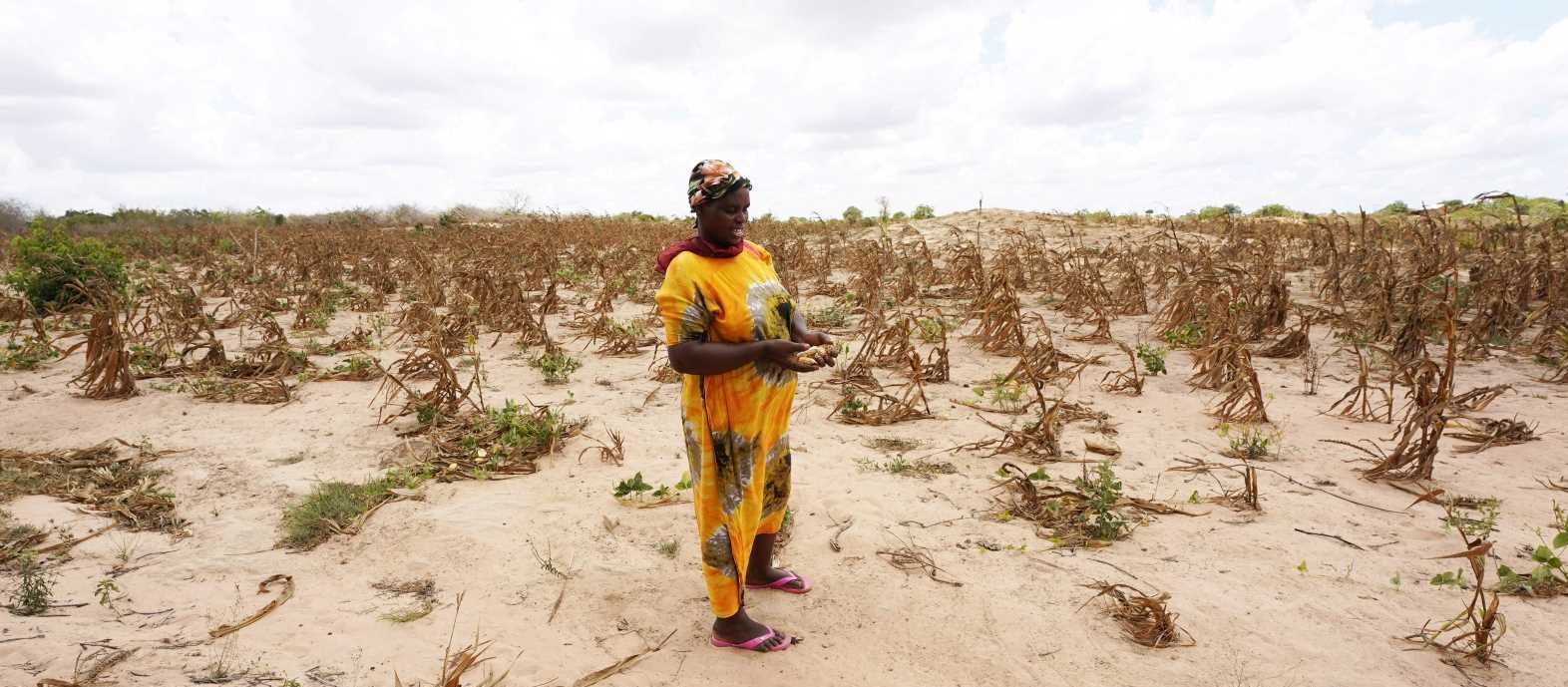 Drought in Kenya, March 2022.