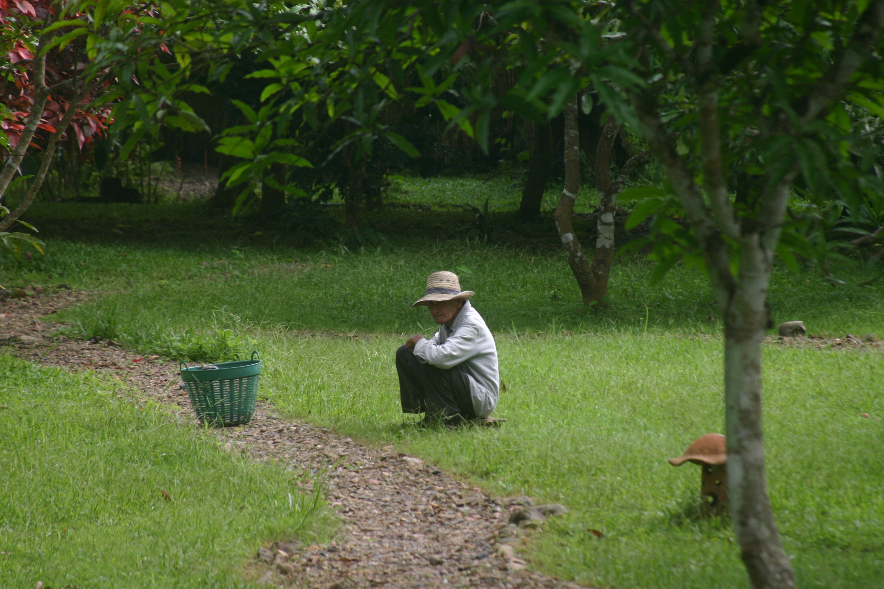 Poverty in old age: Many senior citizens supplement their income as gardeners.