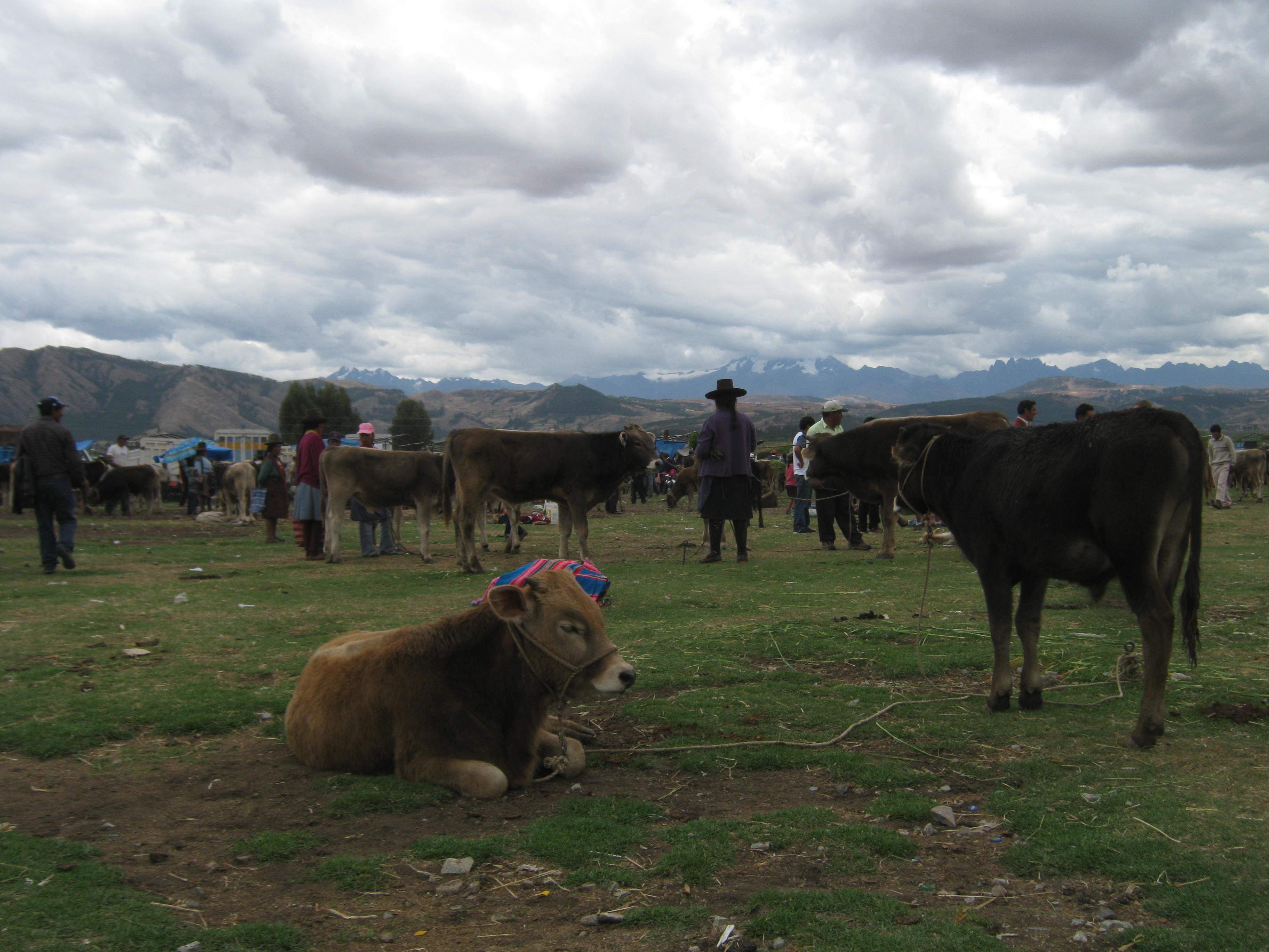 Rural development banks need other rules than multinational investment banks: farmers’ market in Peru’s Andes.