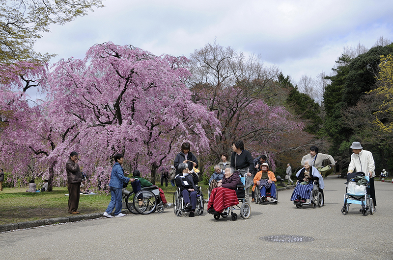 Japan hat die älteste Gesellschaft der Welt.