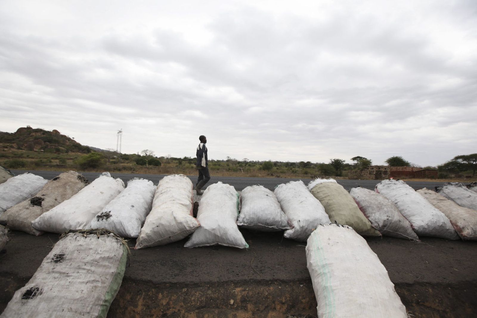 Charcoal bags ready for sale in rural Kenya.