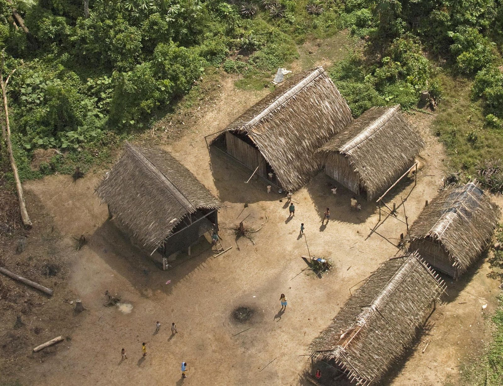 Huts of Huaorani people in Ecuador.