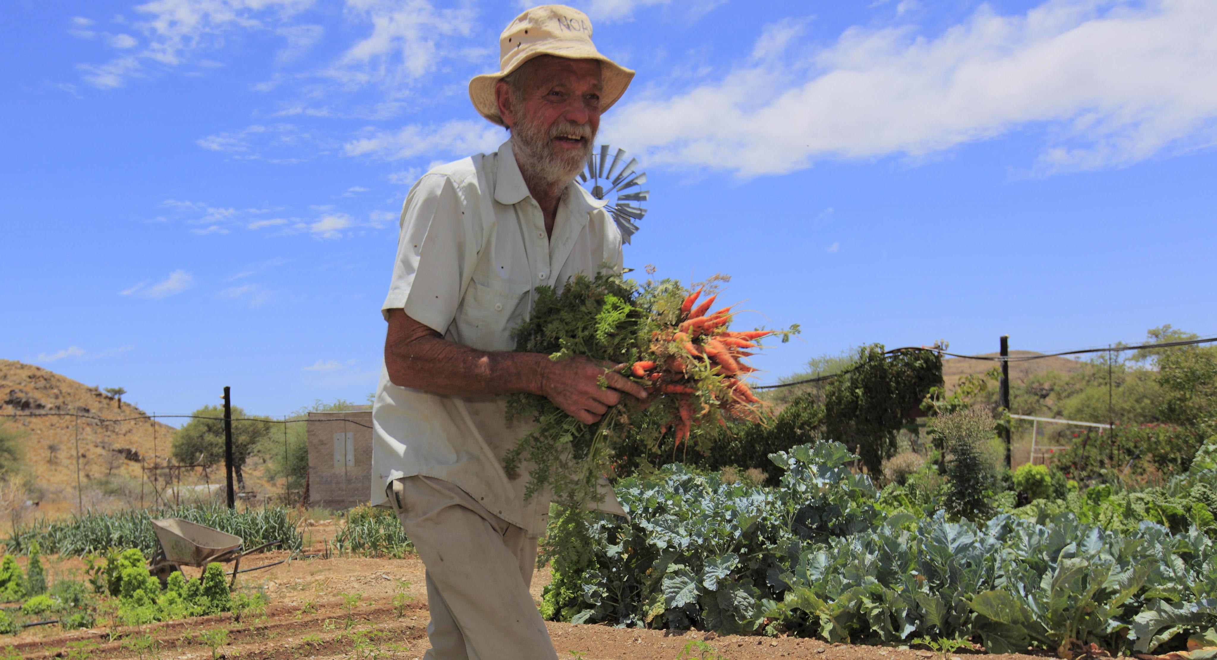 Peter Frischmuth/Argus As a result of the colonial period, the majority of commercial farmers in Namibia are white. A policy for redistributing land to disadvantaged groups has not really worked out so far.