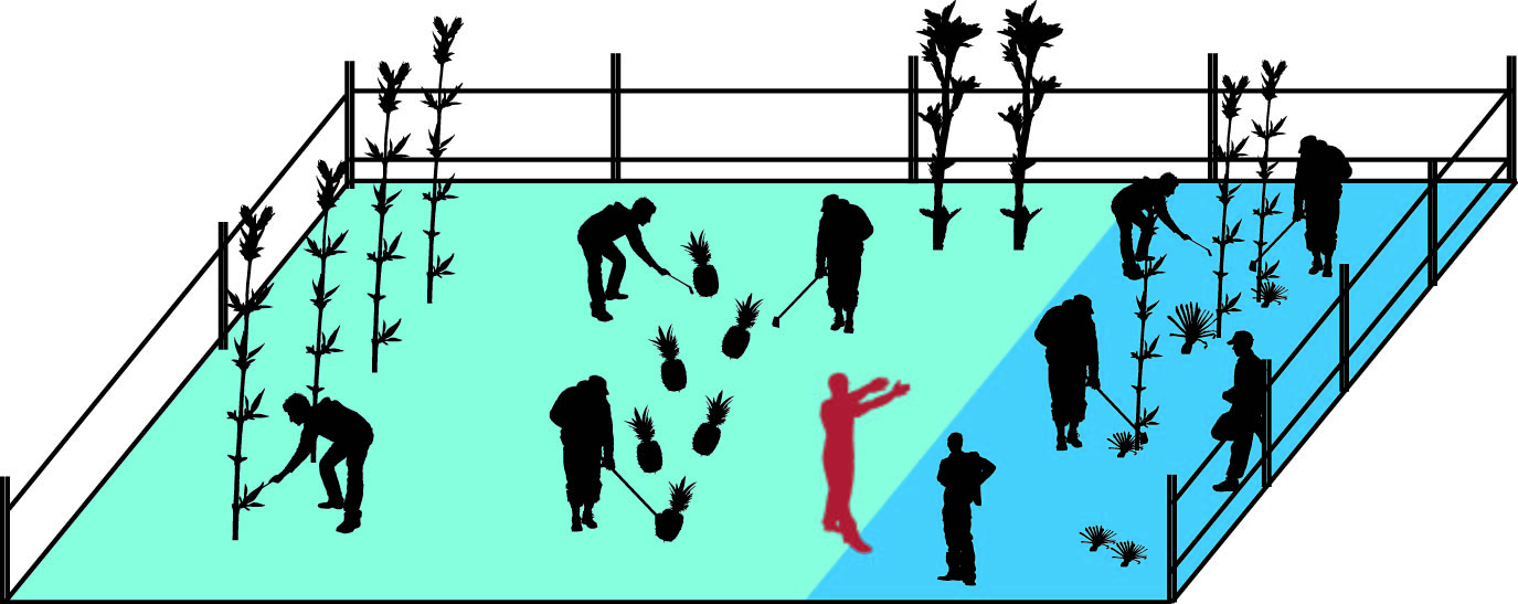 Oelmann FFS test field: on the left side, new approaches are taken, whereas traditional cultivation is done on the other one. An extension worker (red) offers advice.