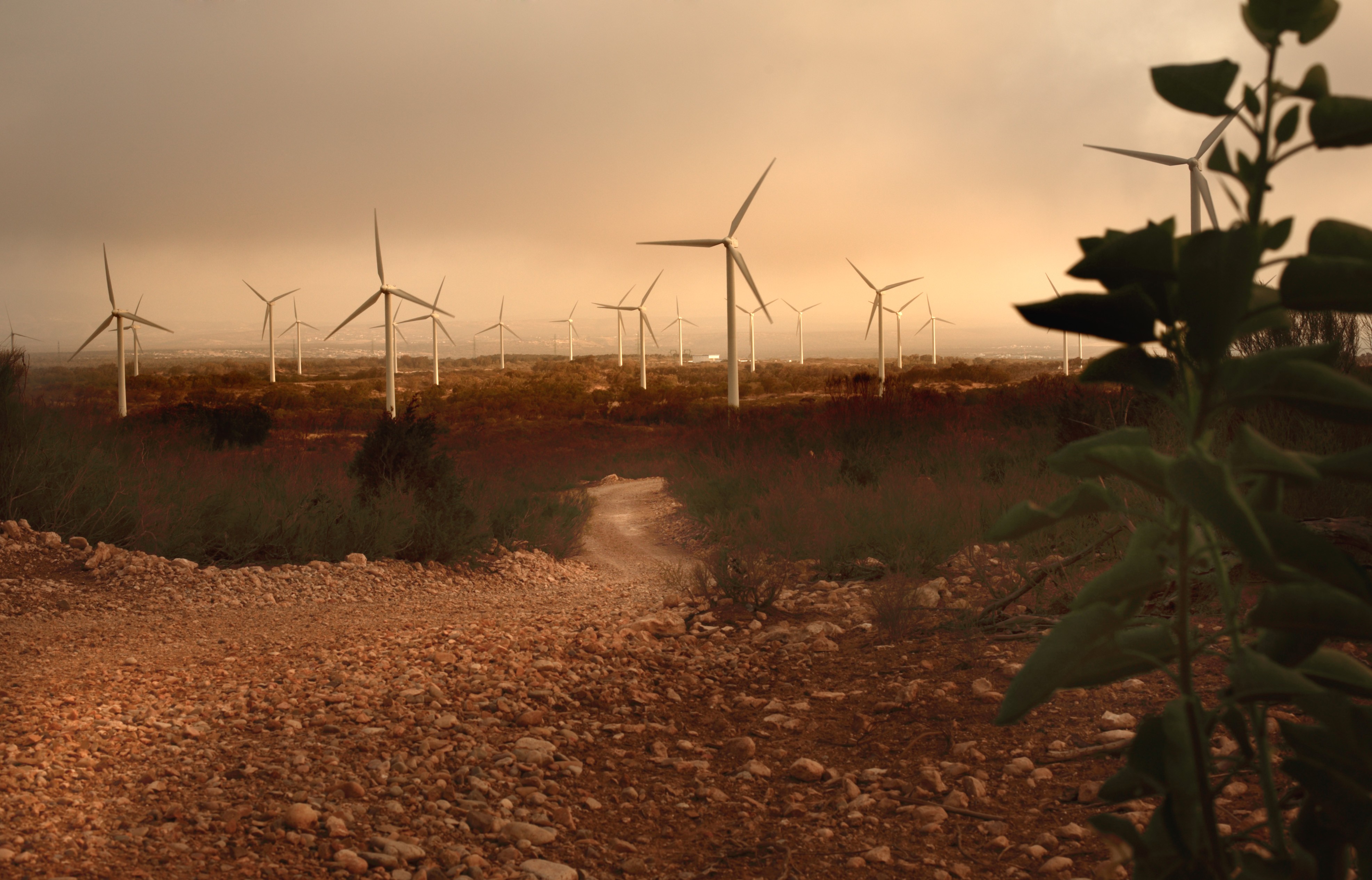 Windkraftpark in Marokko: Das nordafrikanische Land will seinen Anteil an erneuerbaren Energien bis 2020 auf über 40 Prozent erhöhen.
