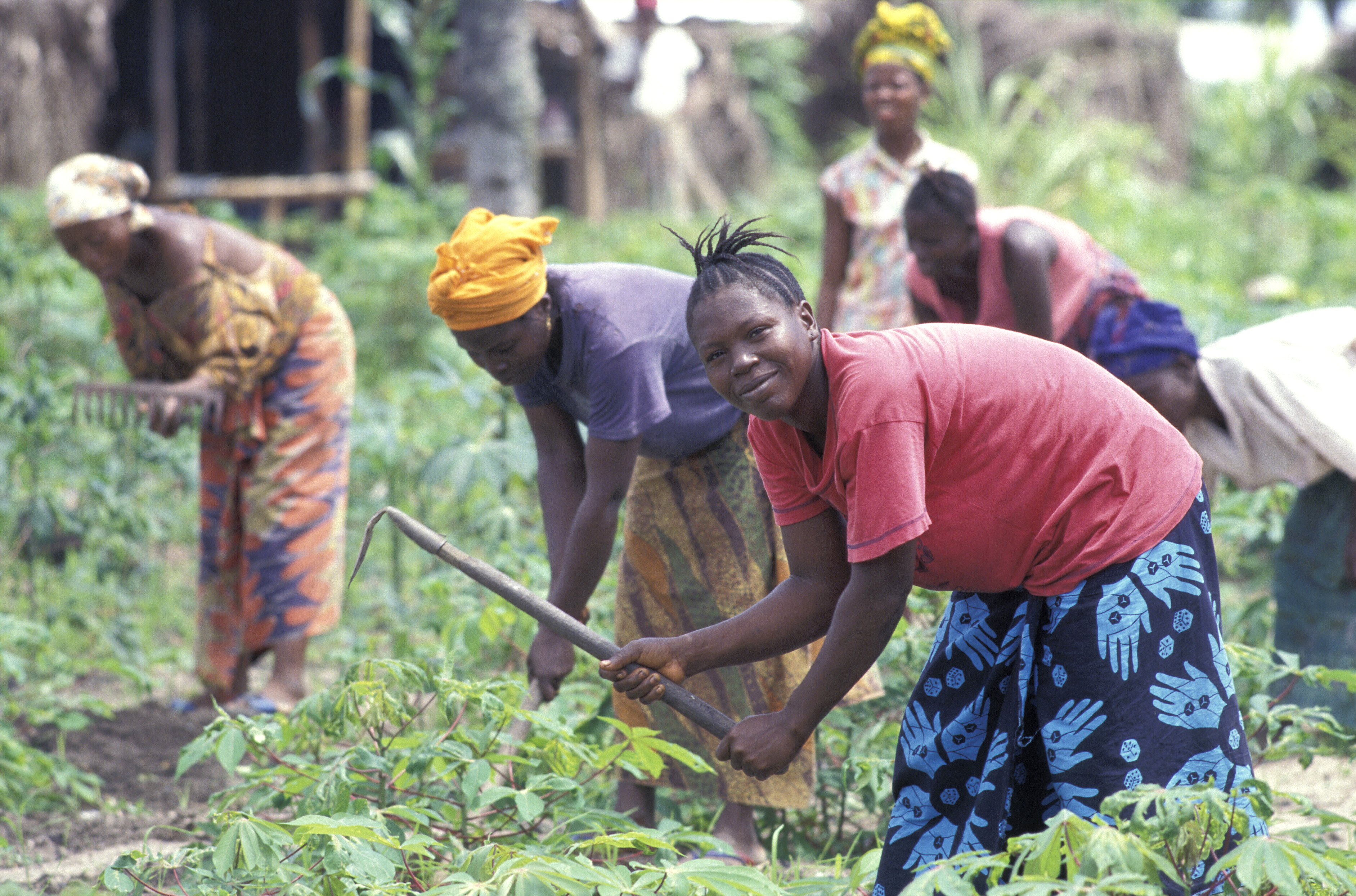 Liberias Landfrauen haben nun Rechtsanspruch auf ihre Böden.