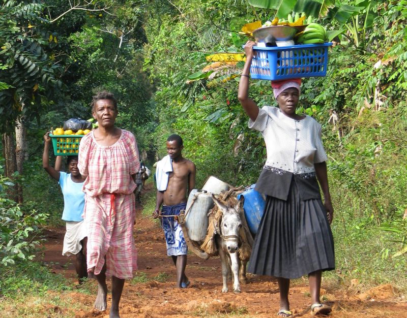 When farmers work together, for instance to market products, they all can benefit. Traders on the way to the market in Jérémie, Haiti.