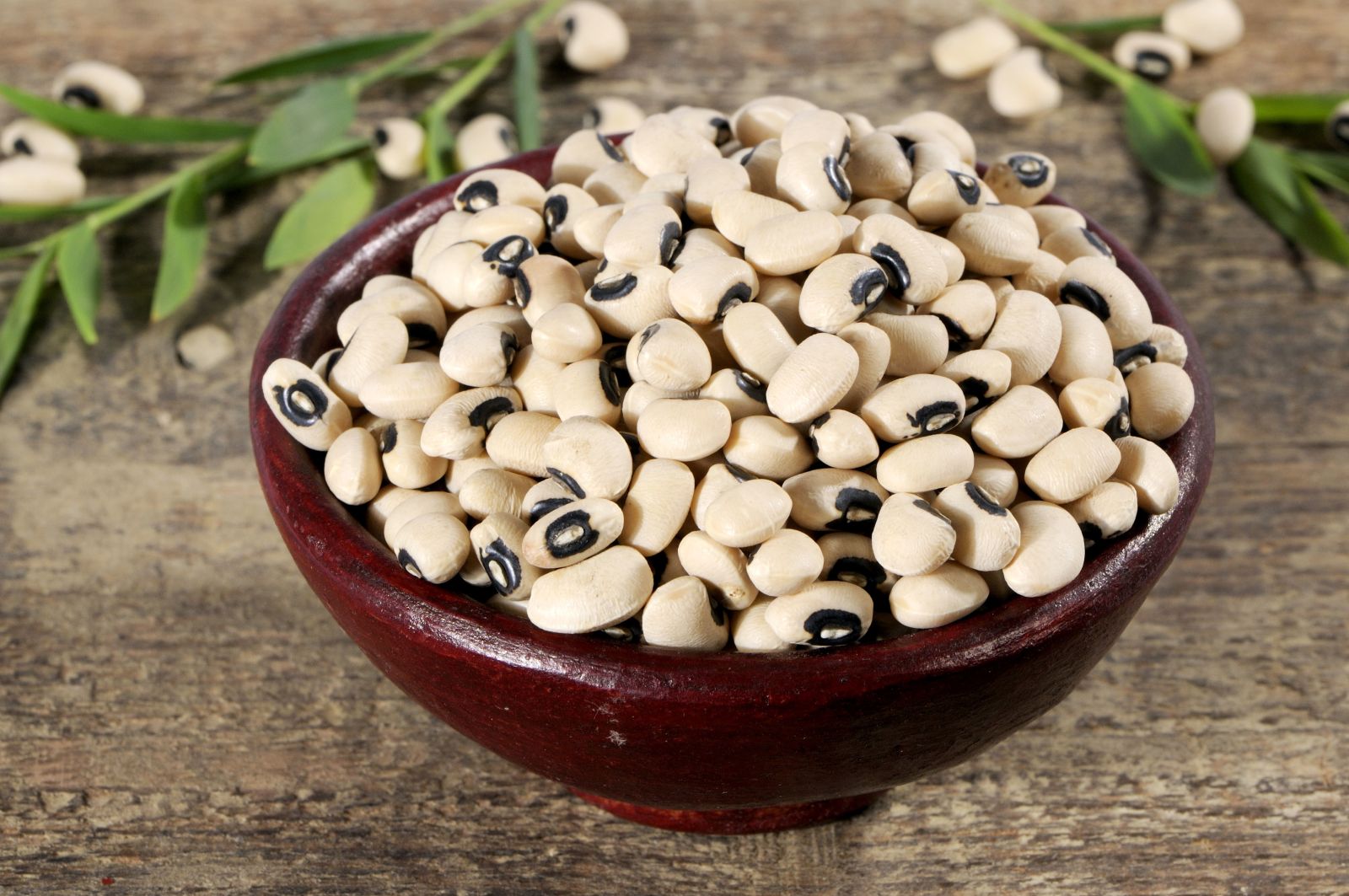 Genetically modified black-eyed peas will soon be cultivated in Burkina Faso.