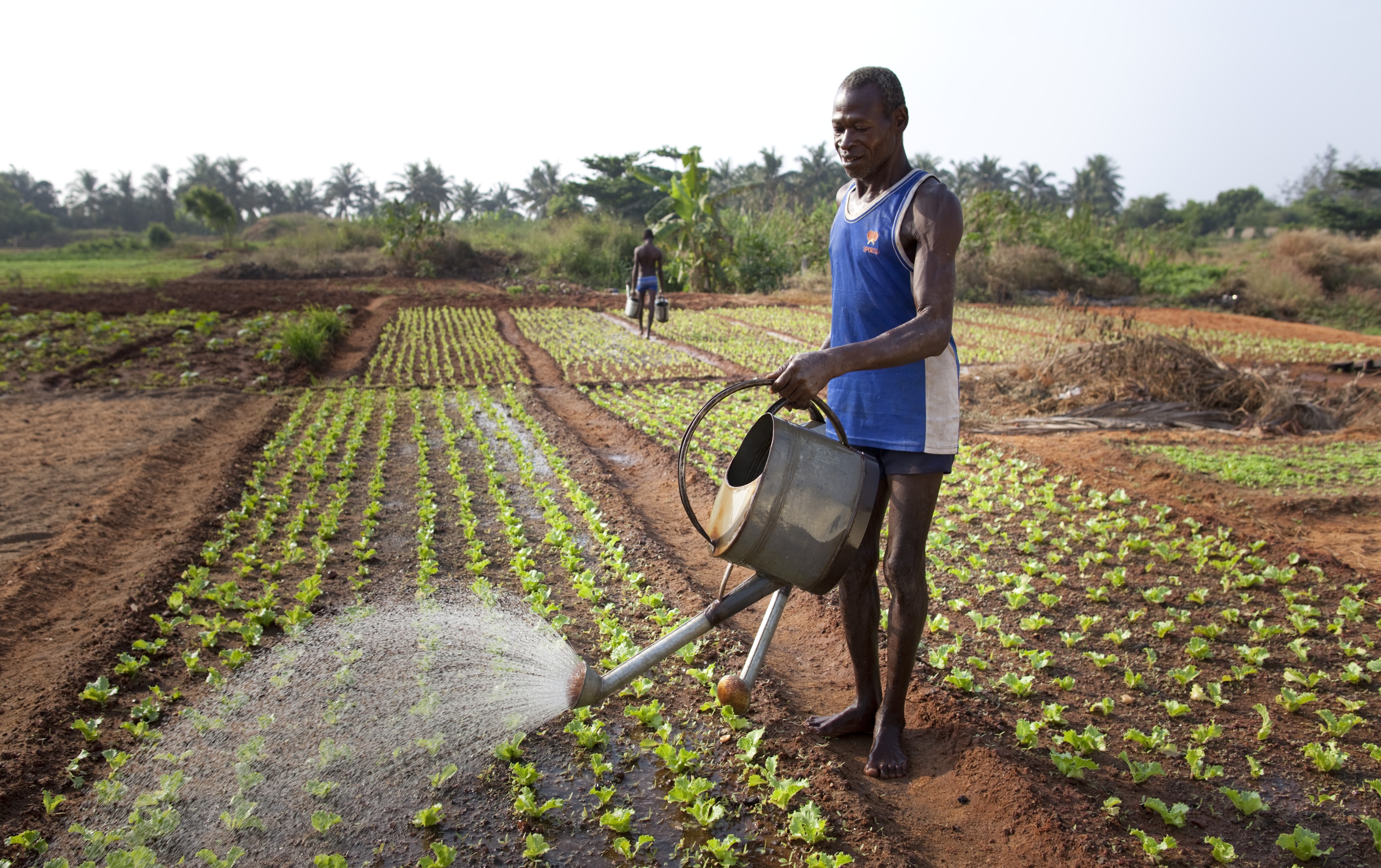 A brief history of irrigation