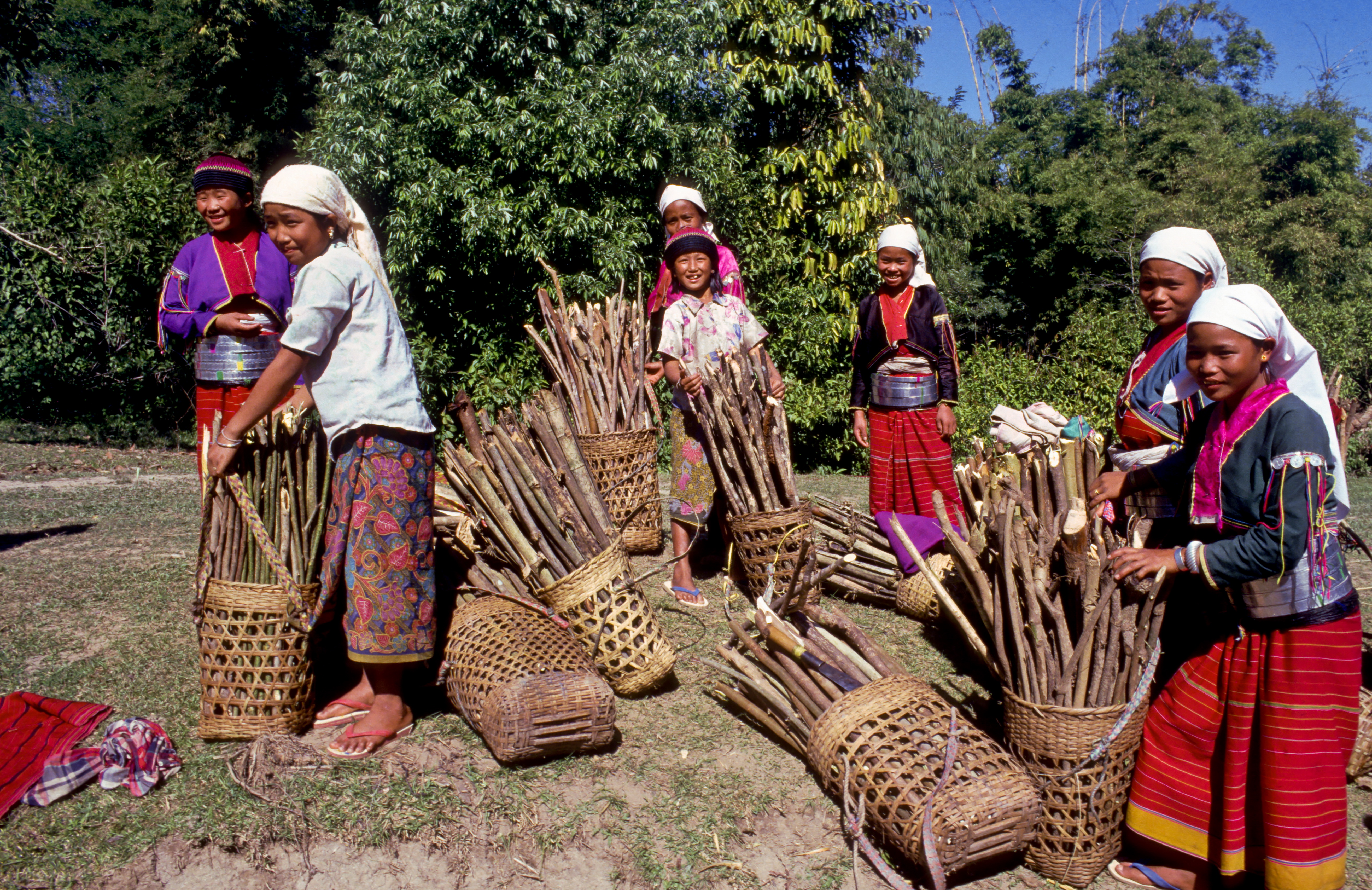 Jean-Leo Dugast/Lineair On average, a village household in Myanmar spends about 20 hours a month collecting fire wood.