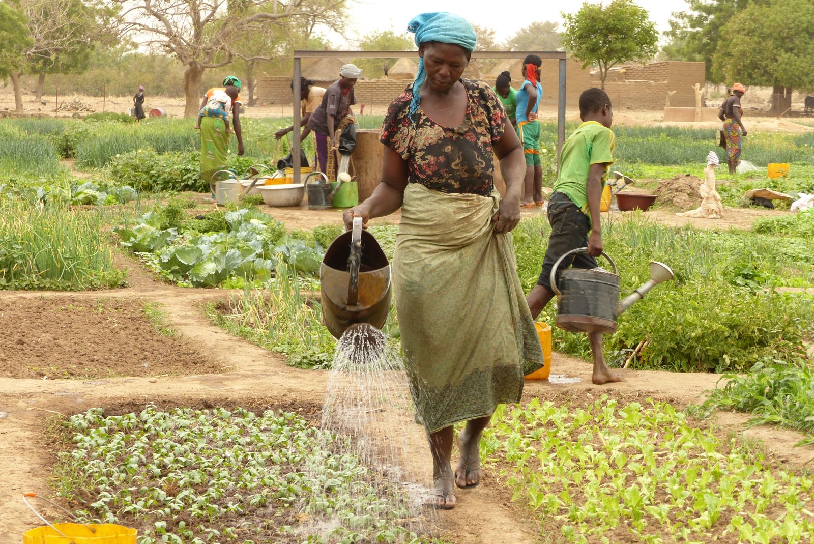 Support for farming is crucial for reducing poverty: Women in business as commercial vegetable growers in Burkina Faso.