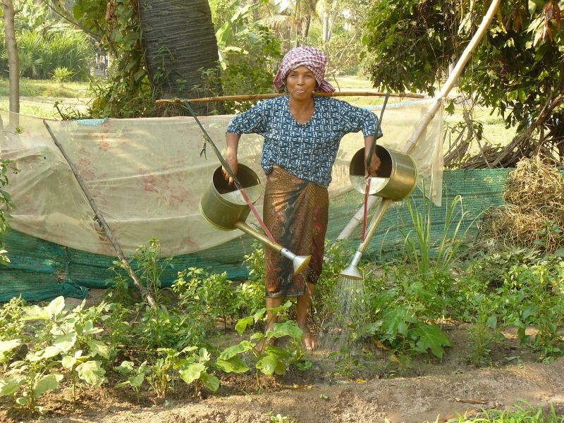 Dorfbewohner produzieren Gemüse für die Schulspeisung.