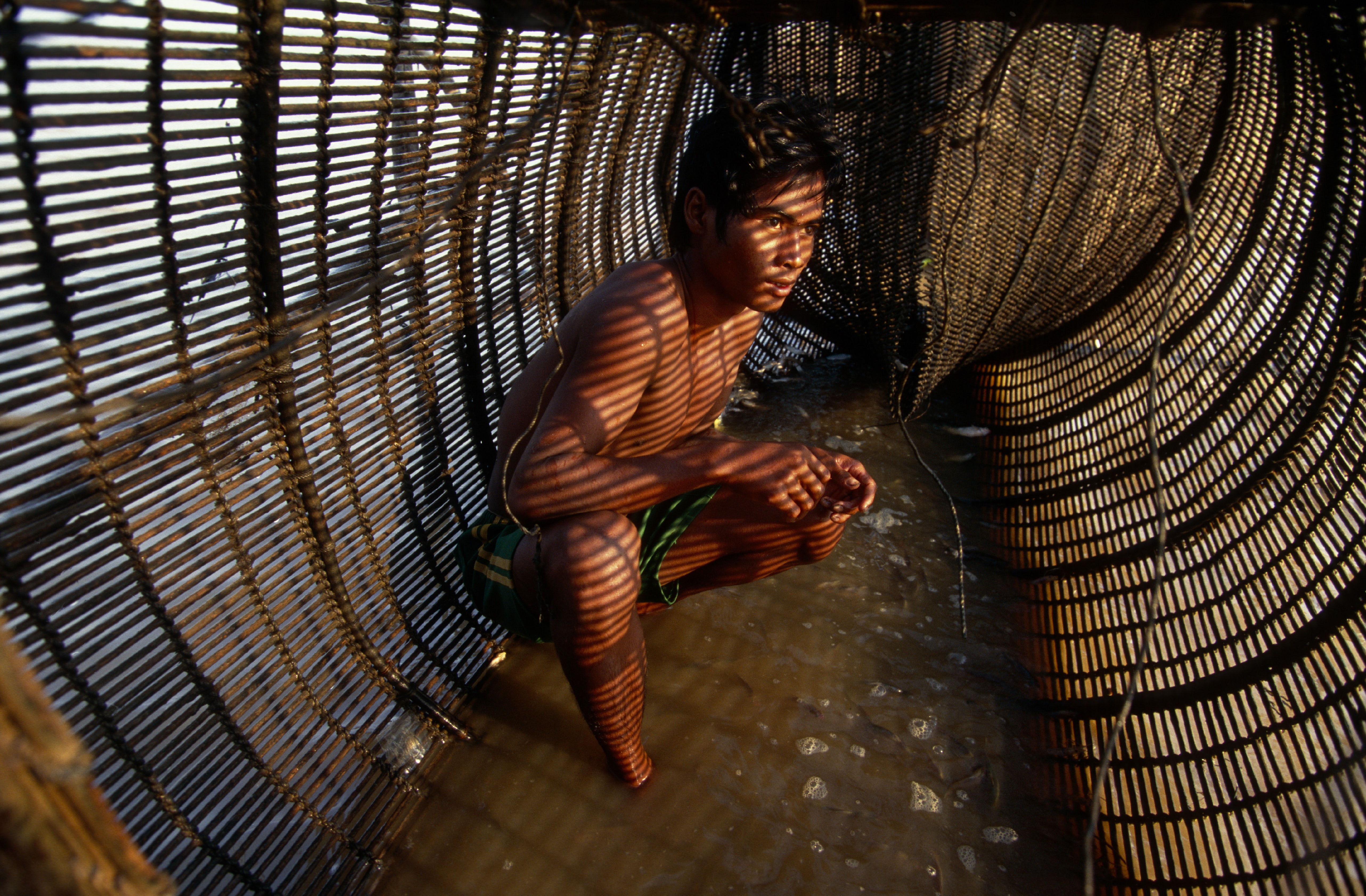 Reparatur eine Reuse: Die meisten Menschen, die am Tonle-Sap-See in Kambodscha wohnen, leben vom Fischfang.