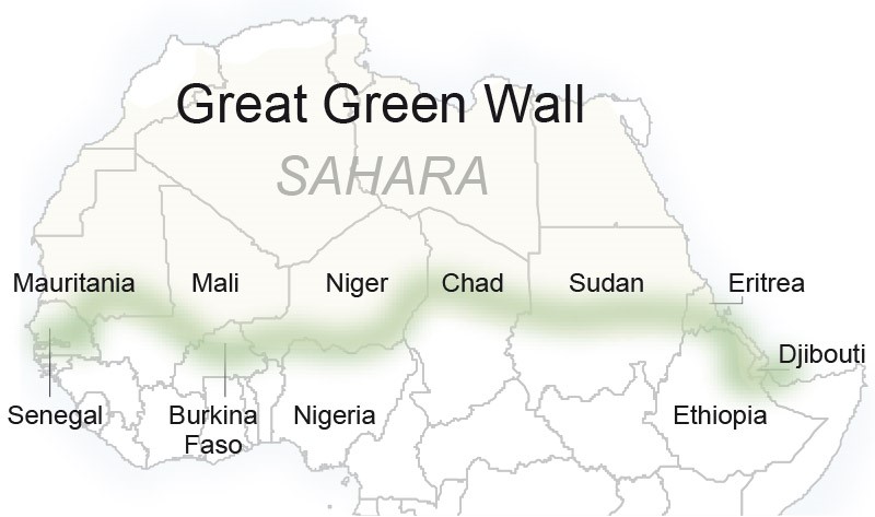 picture-alliance/AP Images/Source: Green Wall Initiative A pan-African tree planting project to fight desertification.