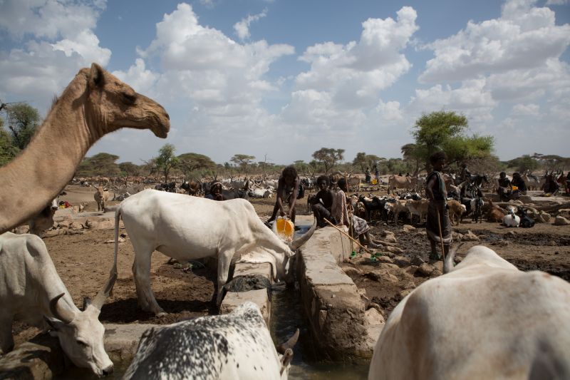 Heine Im ländlichen Afrika leben viele Menschen eng mit ihren Tieren zusammen. Hirten in Äthiopien.