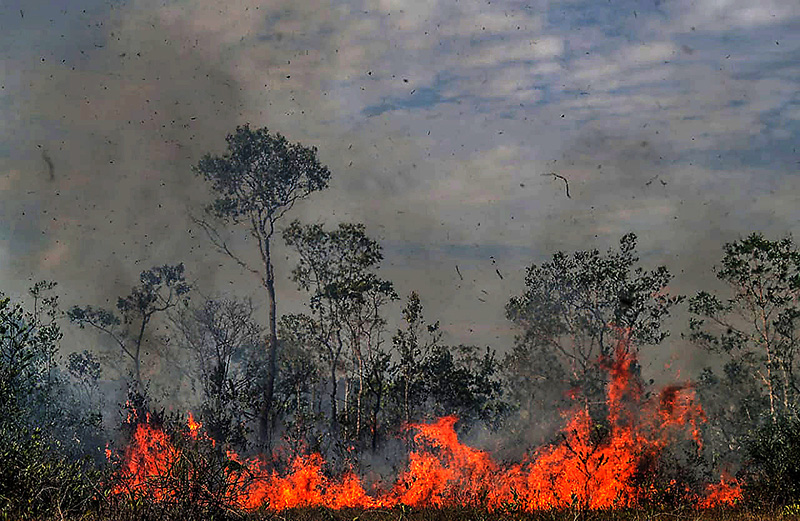 picture-alliance/Xinhua Wälder in Flammen: hier in Manicoré im brasilianischen Bundesstaat Amazonas.